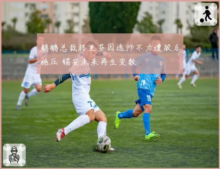 鹈鹕总裁格里芬因选帅不力遭股东施压 锡安未来再生变数