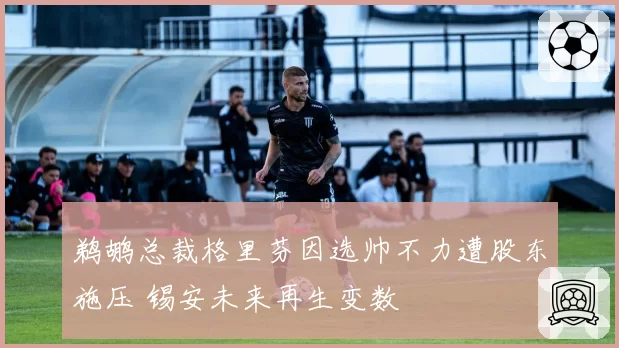 鹈鹕总裁格里芬因选帅不力遭股东施压 锡安未来再生变数