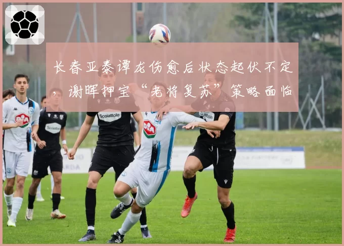 长春亚泰谭龙伤愈后状态起伏不定，谢晖押宝“老将复苏”策略面临下课危机